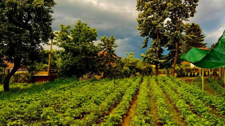 Промяна във времето до края на седмицата