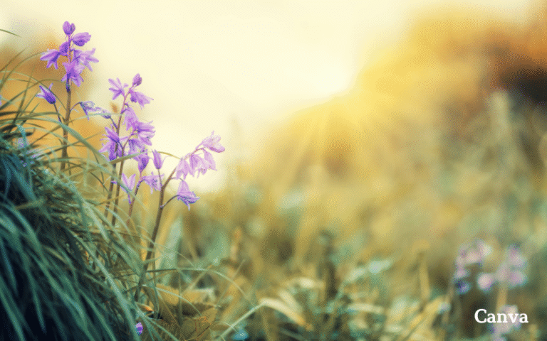 Времето е дъжд и гръмотевици днес, а през новата седмица – отново лято