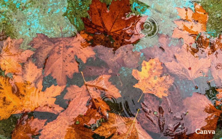 Времето днес: Обилни валежи и силен вятър във вторник