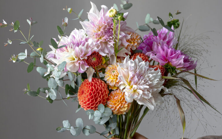 Пет стайни растения, които са символ на щастието през 2026