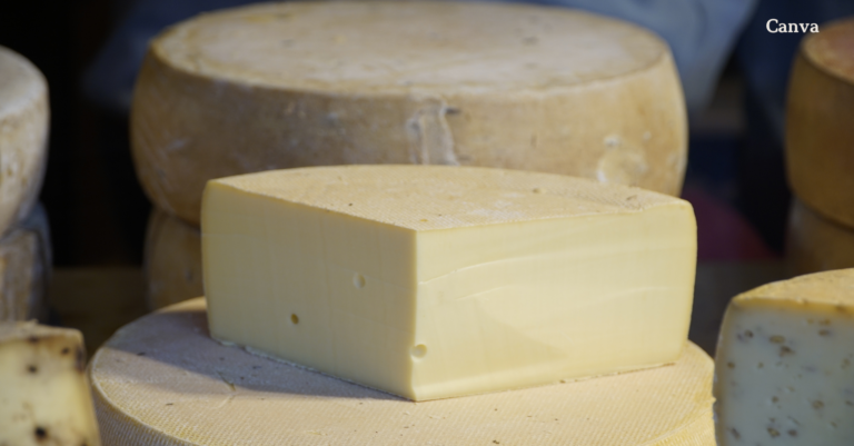 Как да си приготвите домашен кашкавал – Лесна и бърза рецепта