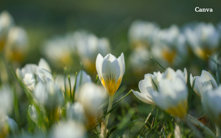 Неочакван сняг на това място изненада жители