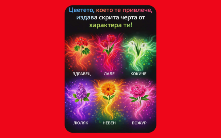 Избери си цвете и виж каква черта от характера ти издава