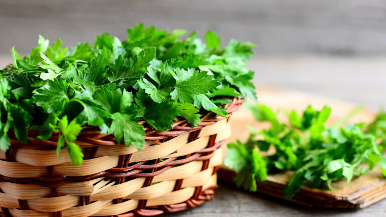 Магданозът пониква по-бързо с лесен домашен трик, който изненадва градинарите