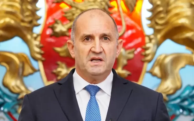 Кой стои зад шествието срещу правителството на Румен Радев